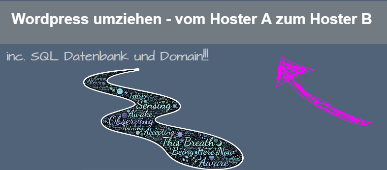 wordpress-umziehen-min